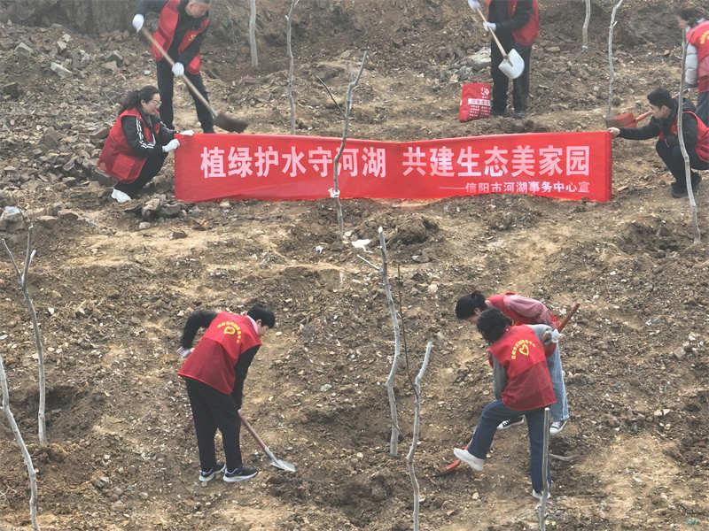 植绿护水守生态 信阳市河湖事务中心开展义务植树活动