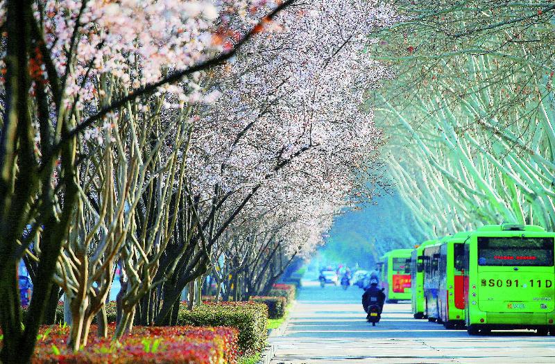 来信阳，收藏整个春天——盘点那些城区周边的踏青春游好去处