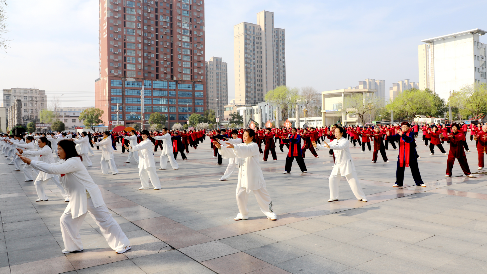 太极2.png 太极2.png