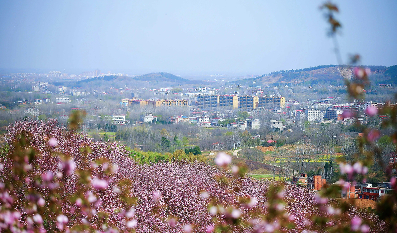 小院2 (1).jpg 小院2 (1).jpg