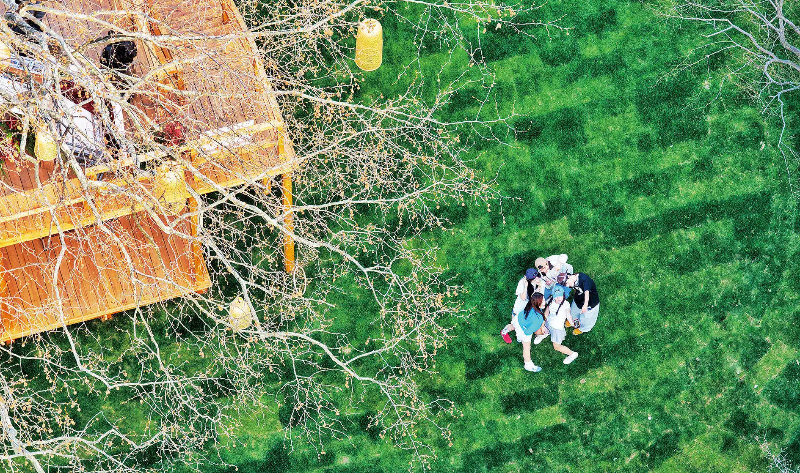 le (1).jpg le (1).jpg