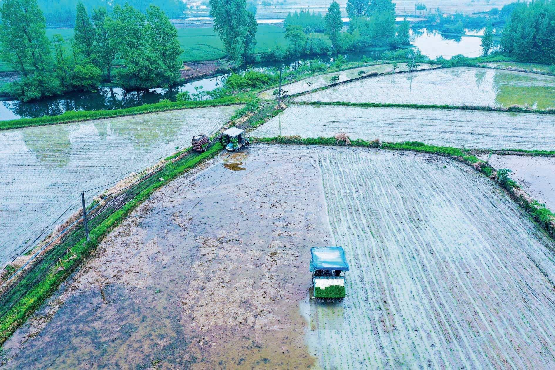 田间地头春耕忙