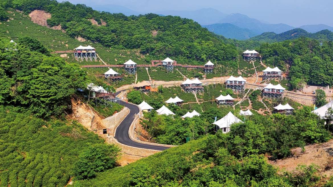 zong2.jpg
