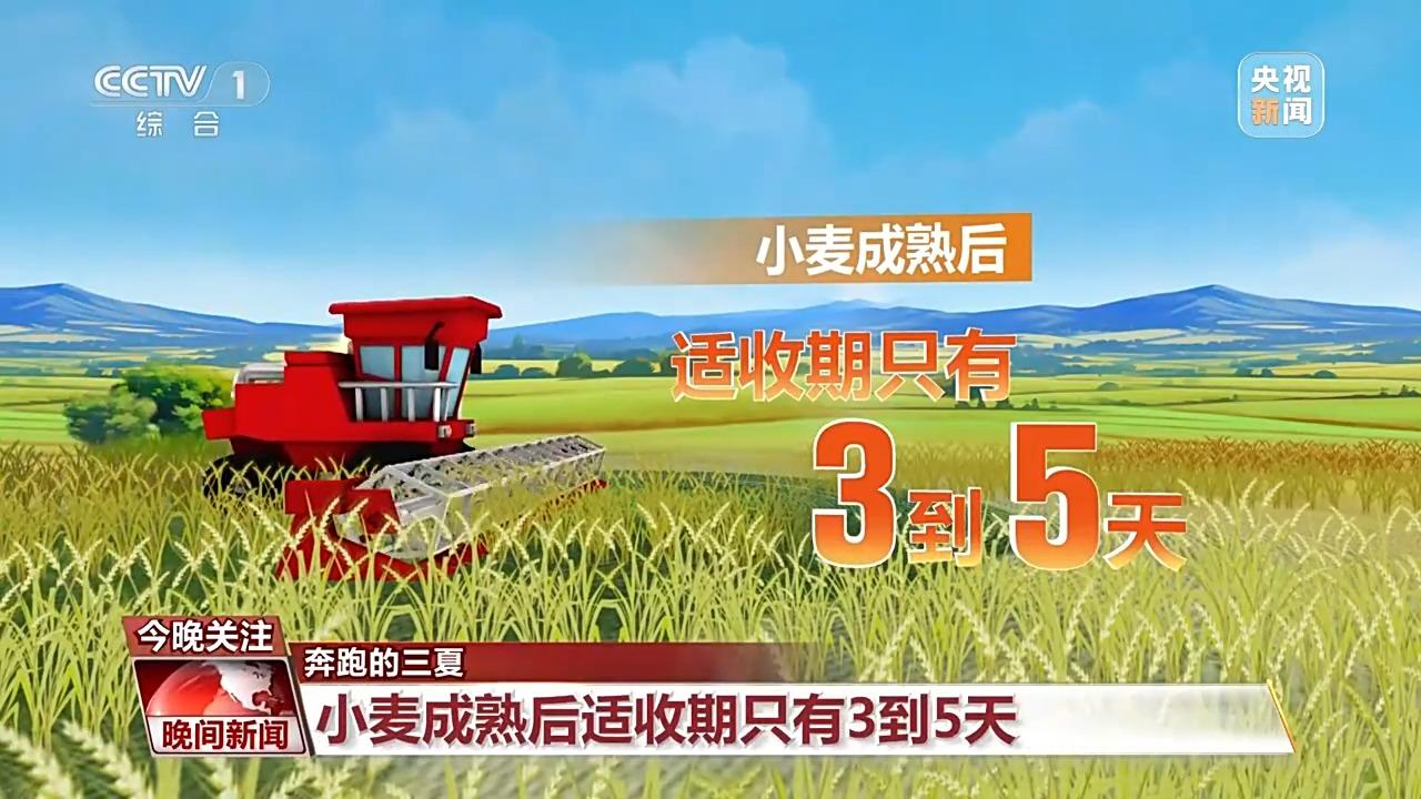 视频丨农机手跨700公里赶麦收！夏收保障网护航粮食颗粒归仓