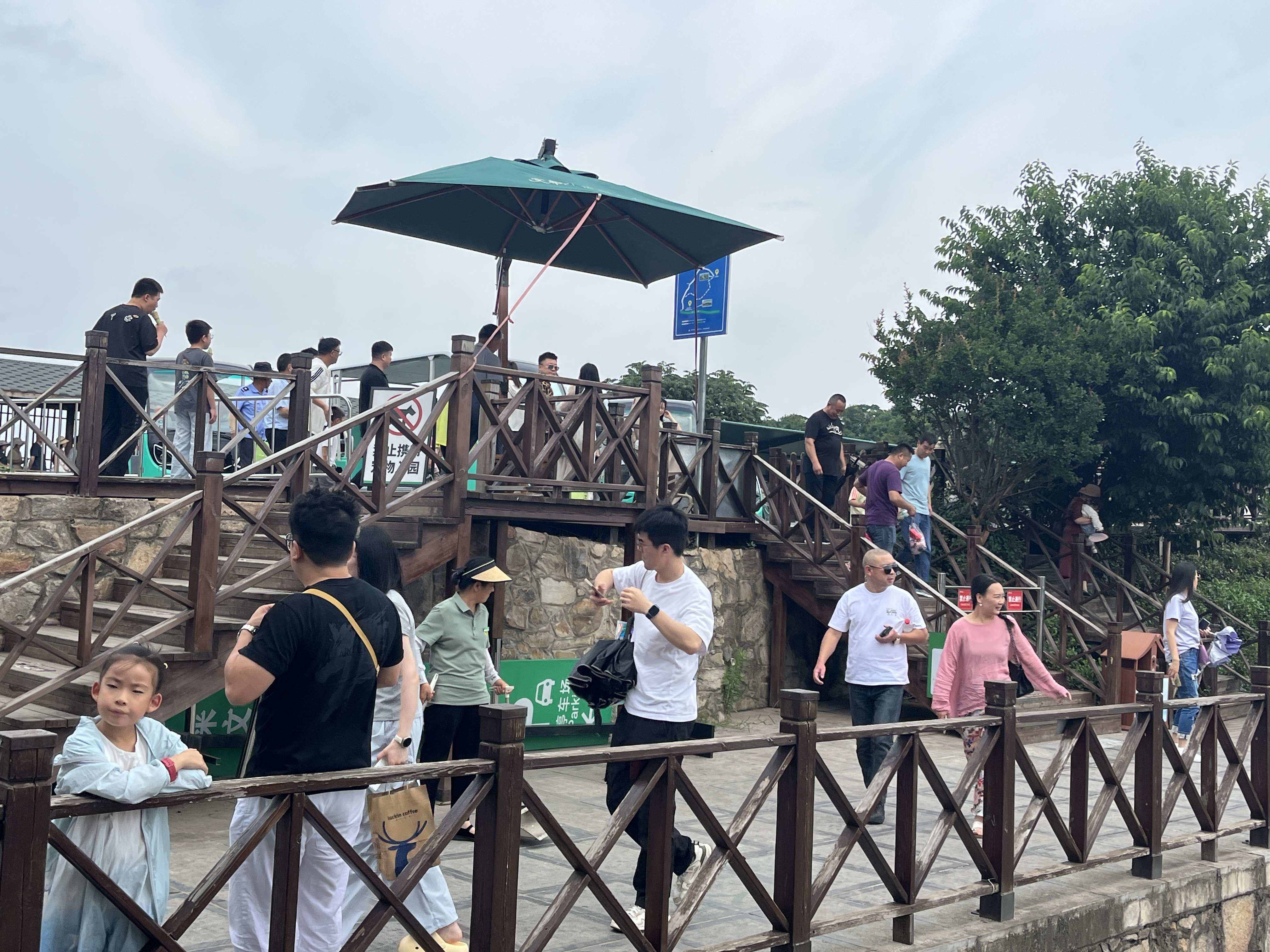 假4.jpg 假4.jpg