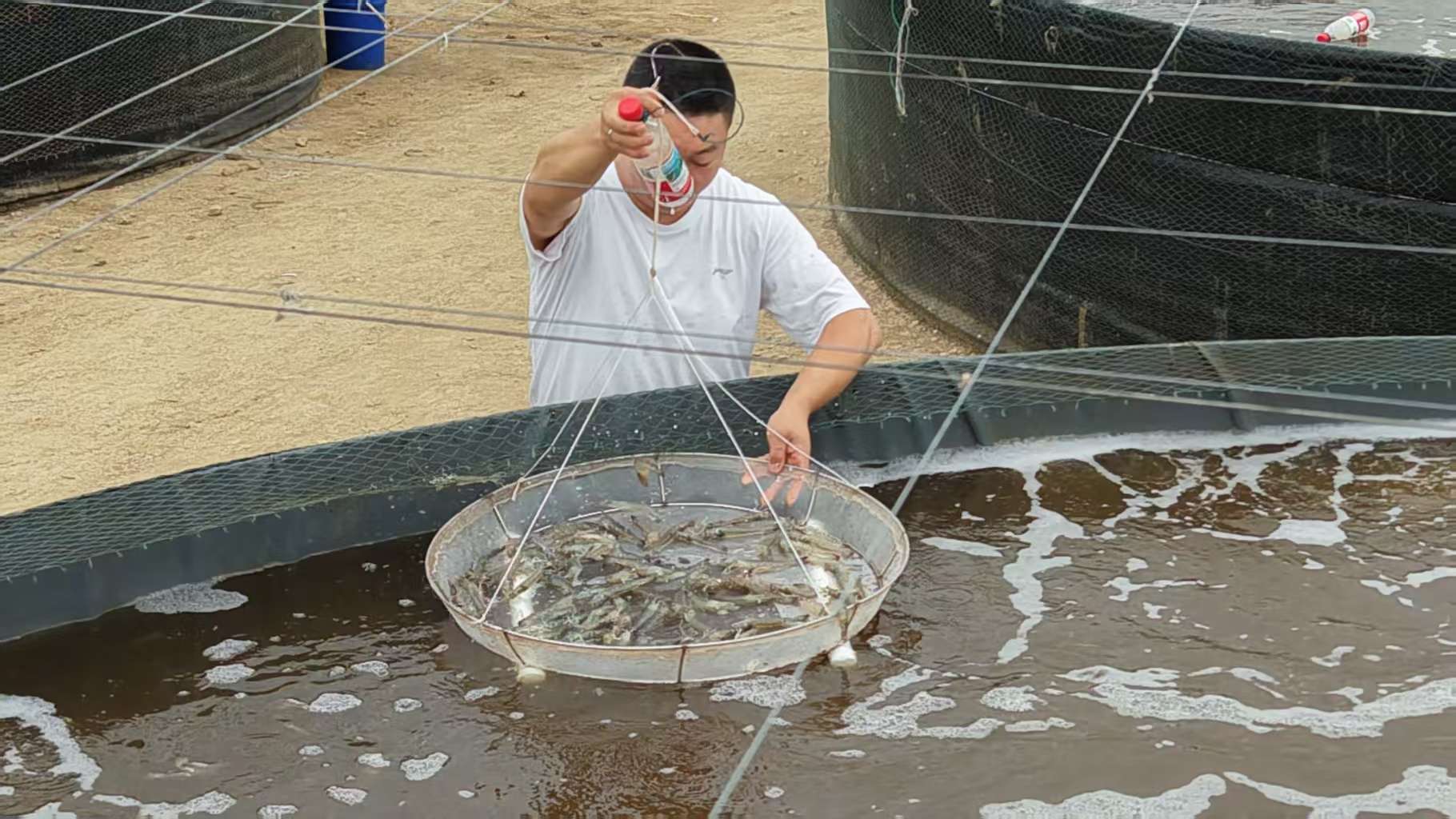hua2.jpg