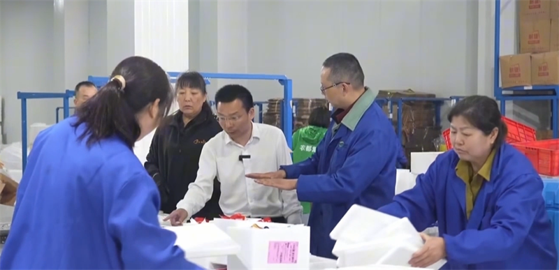 wangxinyi.png
