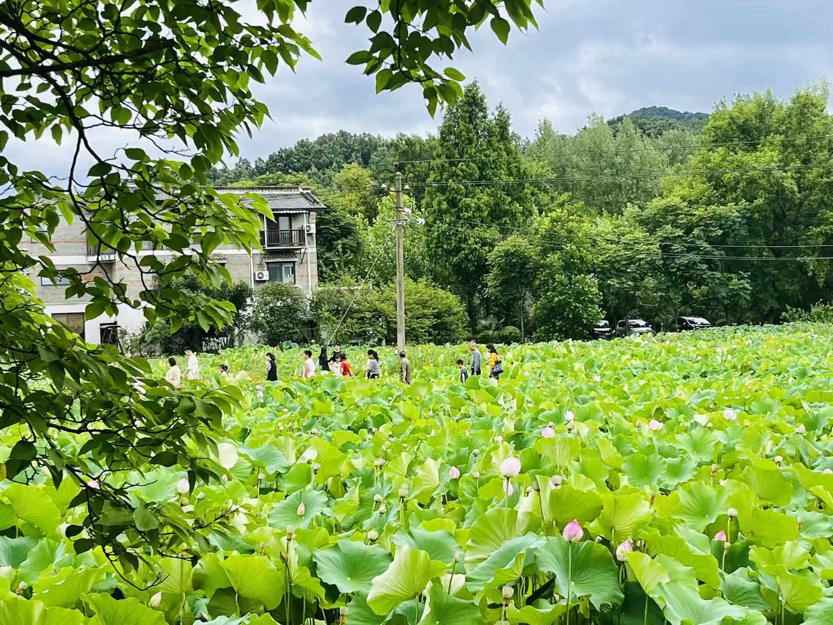 赏2.jpg