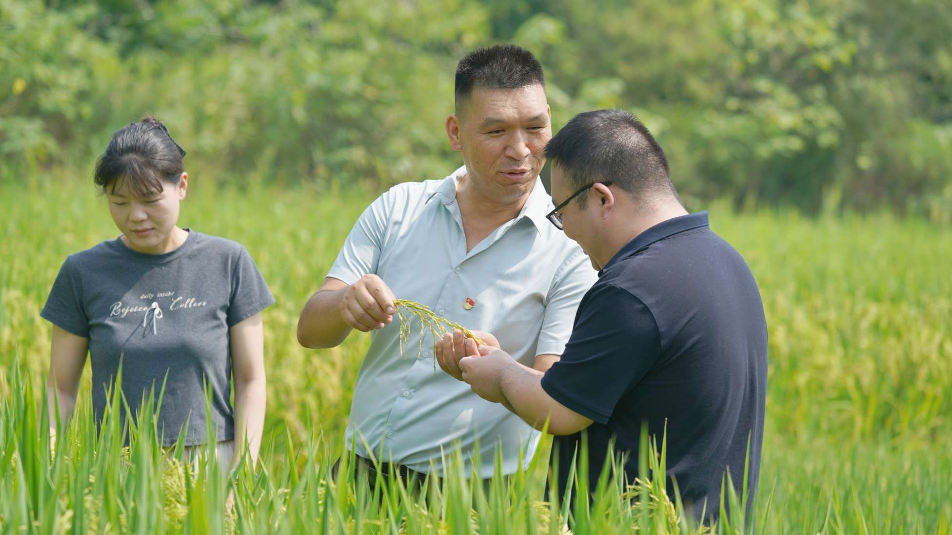 喜看1.jpg 喜看1.jpg